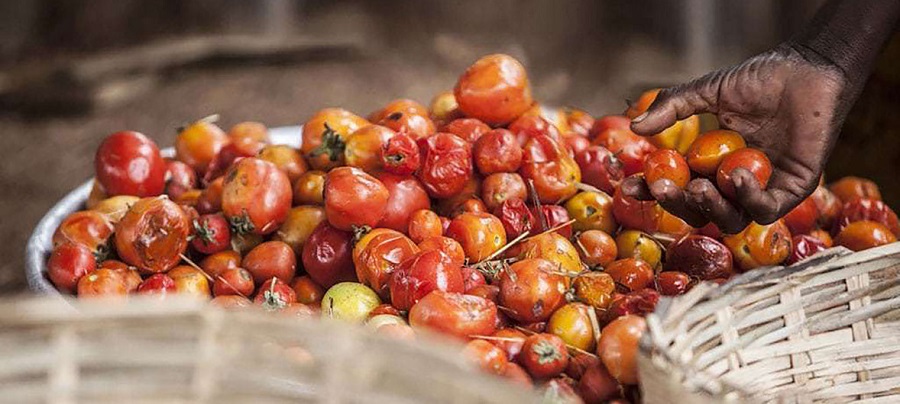 1632990881313310.jpg 21.jpg