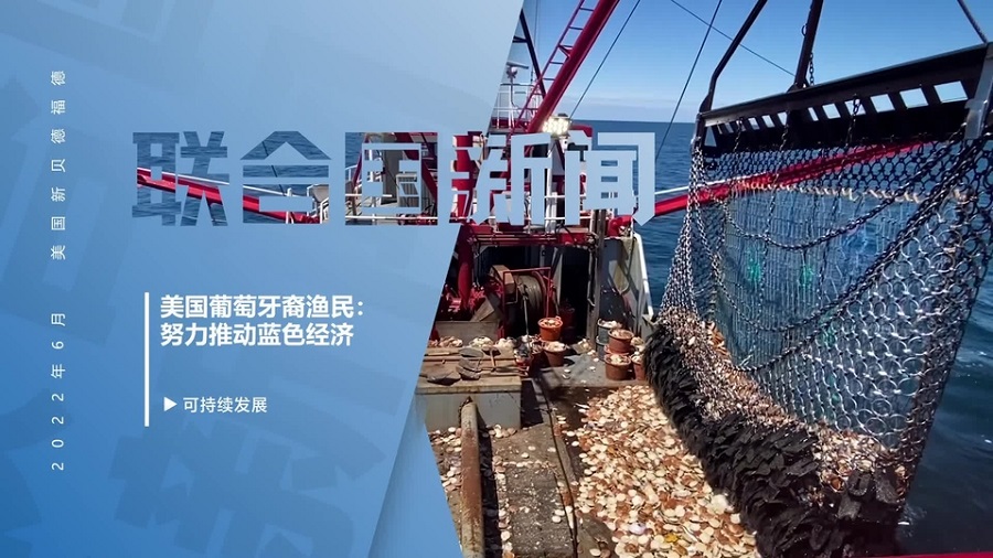 1656567864710640.jpg 2.jpg