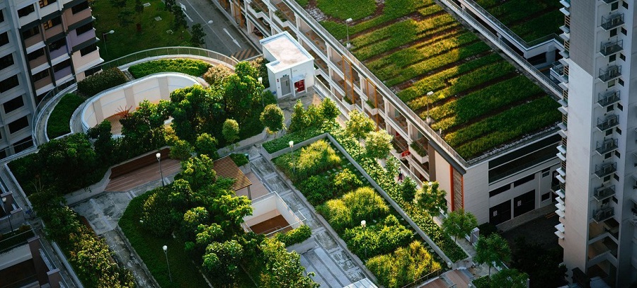 1656568183630670.jpg 2.jpg