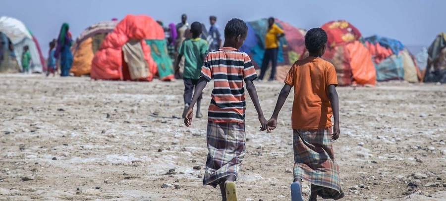 1659663371537763.jpg 22.jpg