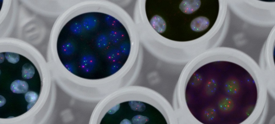 1660528708445900.jpg 11.jpg