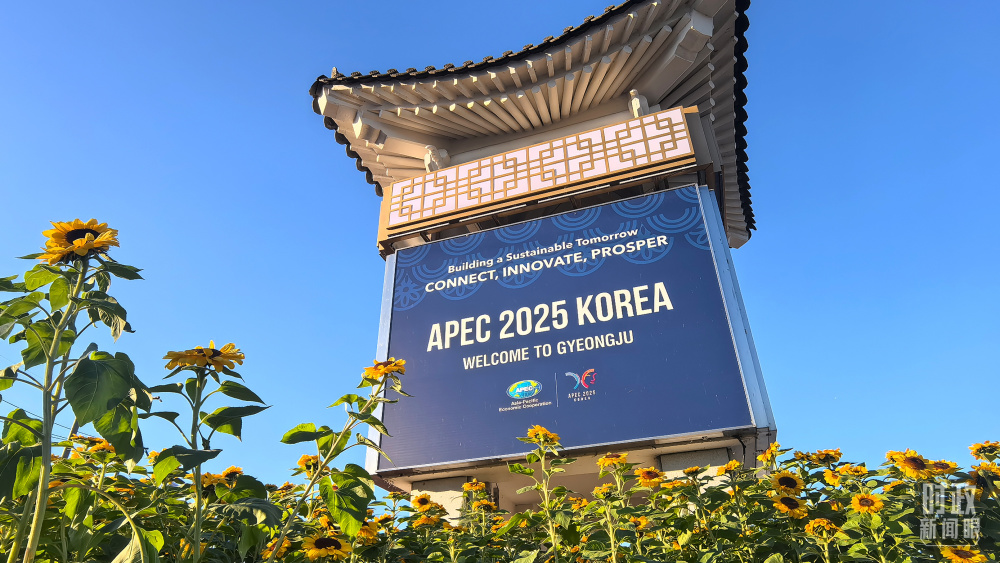 1764055615684558.png 图片3.png